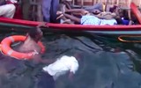 [ẢNH] Ám ảnh với cảnh vớt xác người thiệt mạng trong vụ lật phà ở Tanzania