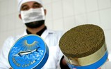 [ẢNH] Ngạc nhiên với một Iran 