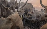 [ẢNH] Nam Sudan mà các quân nhân Việt Nam vừa đến là đất nước thế nào?