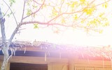 [ẢNH]  Những chiến sỹ Cảnh sát tương lai về với đồng bào 