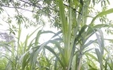 [ẢNH]  Những chiến sỹ Cảnh sát tương lai về với đồng bào 