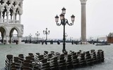 [ẢNH] Người dân Venice trong trận lụt lịch sử - quan trọng là thần thái