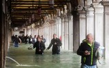 [ẢNH] Người dân Venice trong trận lụt lịch sử - quan trọng là thần thái