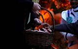 [ẢNH] Thích thú những hình ảnh hiếm gặp của Tổng thống Donald Trump trong lễ hội Halloween tại Nhà Trắng