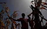[ẢNH] Tình cảnh tuyệt vọng ở quê nhà khiến người Honduras 