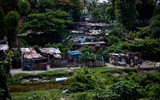 [ẢNH] Tình cảnh tuyệt vọng ở quê nhà khiến người Honduras 