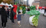 [ẢNH] Người Seoul làm 165 tấn Kimchi nhưng lại... không ăn