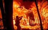 [ẢNH] Hỏa hoạn có sức hủy diệt khủng khiếp ở California, Mỹ