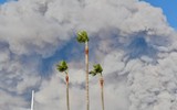 [ẢNH] Hỏa hoạn có sức hủy diệt khủng khiếp ở California, Mỹ