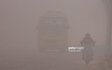 [ẢNH] Ô nhiễm không khí nghiêm trọng tại thủ đô New Delhi, Ấn Độ