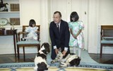 [ẢNH] Những hình ảnh quý giá về Tổng thống George Bush trước khi ra đi ở tuổi 94