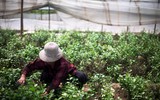 [ẢNH] Những điều bị coi là 
