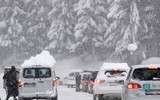 Dãy Alps tuyết lở - Ít nhất 12 người thiệt mạng vì tuyết lớn và gió mạnh ở Châu Âu