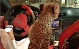 [ẢNH] Hội con nhà giàu Dubai làm điên đảo mạng xã hội vì mức sang chảnh không ai bì kịp