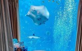 [ẢNH] Hội con nhà giàu Dubai làm điên đảo mạng xã hội vì mức sang chảnh không ai bì kịp