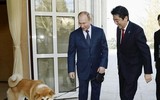 [ẢNH] Thú cưng, quà sinh nhật đặc biệt của Tổng thống Nga Vladimir Putin