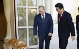[ẢNH] Thú cưng, quà sinh nhật đặc biệt của Tổng thống Nga Vladimir Putin