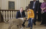 [ẢNH] Thú cưng, quà sinh nhật đặc biệt của Tổng thống Nga Vladimir Putin