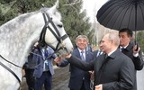 [ẢNH] Thú cưng, quà sinh nhật đặc biệt của Tổng thống Nga Vladimir Putin