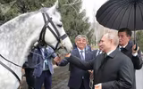 [ẢNH] Thú cưng, quà sinh nhật đặc biệt của Tổng thống Nga Vladimir Putin