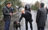 [ẢNH] Thú cưng, quà sinh nhật đặc biệt của Tổng thống Nga Vladimir Putin