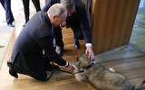 [ẢNH] Thú cưng, quà sinh nhật đặc biệt của Tổng thống Nga Vladimir Putin