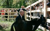 [ẢNH] Thú cưng, quà sinh nhật đặc biệt của Tổng thống Nga Vladimir Putin