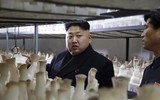 [ẢNH] Chủ tịch Kim Jong-un thị sát các cơ sở kinh tế của Triều Tiên