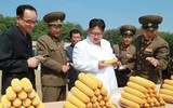 [ẢNH] Chủ tịch Kim Jong-un thị sát các cơ sở kinh tế của Triều Tiên