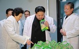 [ẢNH] Chủ tịch Kim Jong-un thị sát các cơ sở kinh tế của Triều Tiên