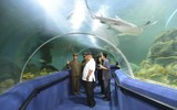 [ẢNH] Chủ tịch Kim Jong-un thị sát các cơ sở kinh tế của Triều Tiên