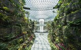 [ẢNH] Chiêm ngưỡng hình ảnh lộng lẫy của sân bay tốt nhất thế giới tại Singapore
