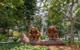 [ẢNH] Chiêm ngưỡng hình ảnh lộng lẫy của sân bay tốt nhất thế giới tại Singapore
