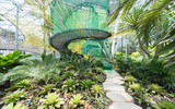 [ẢNH] Chiêm ngưỡng hình ảnh lộng lẫy của sân bay tốt nhất thế giới tại Singapore