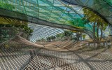 [ẢNH] Chiêm ngưỡng hình ảnh lộng lẫy của sân bay tốt nhất thế giới tại Singapore