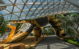 [ẢNH] Chiêm ngưỡng hình ảnh lộng lẫy của sân bay tốt nhất thế giới tại Singapore