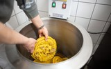 [ẢNH] Tù nhân Đức bảo tồn loài ong và sản xuất mật ong ở trong tù