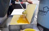 [ẢNH] Tù nhân Đức bảo tồn loài ong và sản xuất mật ong ở trong tù