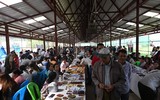 [ẢNH] Liều mạng mưu sinh ở các mỏ khai thác đá ruby Myanmar
