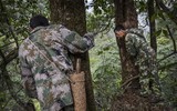 [ẢNH] Nghề không dành cho những người yếu tim: Lấy mật ong rừng ở Trung Quốc