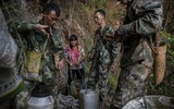 [ẢNH] Nghề không dành cho những người yếu tim: Lấy mật ong rừng ở Trung Quốc