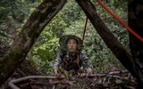 [ẢNH] Nghề không dành cho những người yếu tim: Lấy mật ong rừng ở Trung Quốc