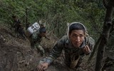 [ẢNH] Nghề không dành cho những người yếu tim: Lấy mật ong rừng ở Trung Quốc
