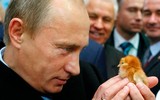 [ẢNH] Chặng đường 20 năm uy quyền của Tổng thống Nga Vladimir Putin