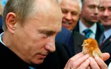 [ẢNH] Chặng đường 20 năm uy quyền của Tổng thống Nga Vladimir Putin