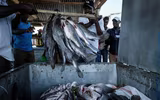 [ẢNH] Cuộc sống trên hòn đảo tí hon Migingo – Mầm mống xung đột giữa Uganda và Kenya