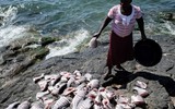 [ẢNH] Cuộc sống trên hòn đảo tí hon Migingo – Mầm mống xung đột giữa Uganda và Kenya