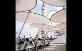 [ẢNH] Ảnh hiếm về lễ khai trương Công viên giải trí Disneyland tại Mỹ năm 1955
