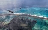 [ẢNH] Tình trạng khẩn cấp ở Mauritius sau sự cố tràn dầu