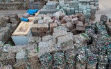 Hành trình 7.000 cây số để 